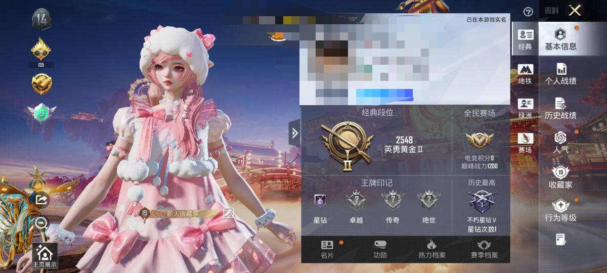 HPEY4103102和平精英账号详情图3