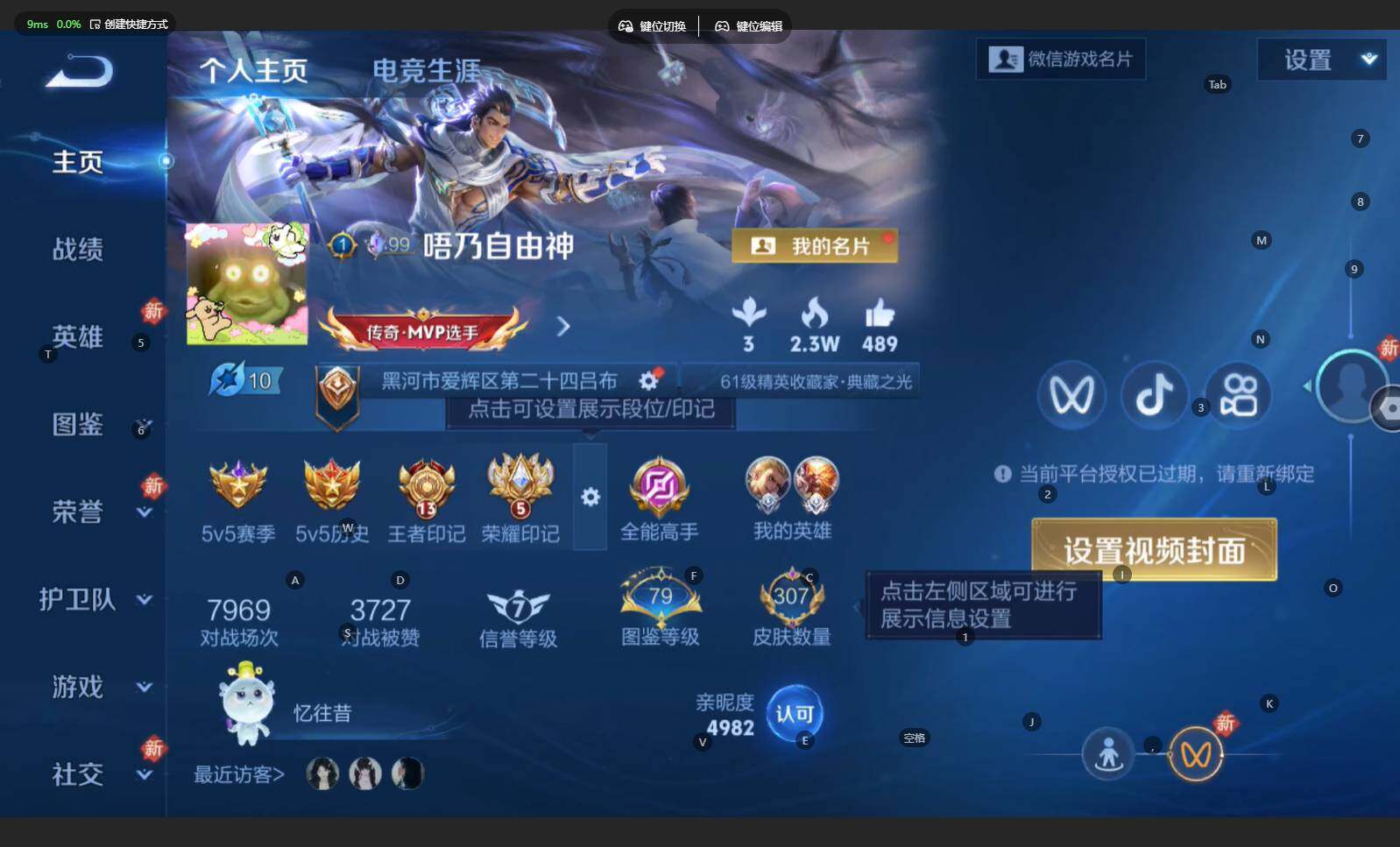 WZBSY4192531王者荣耀账号详情图2