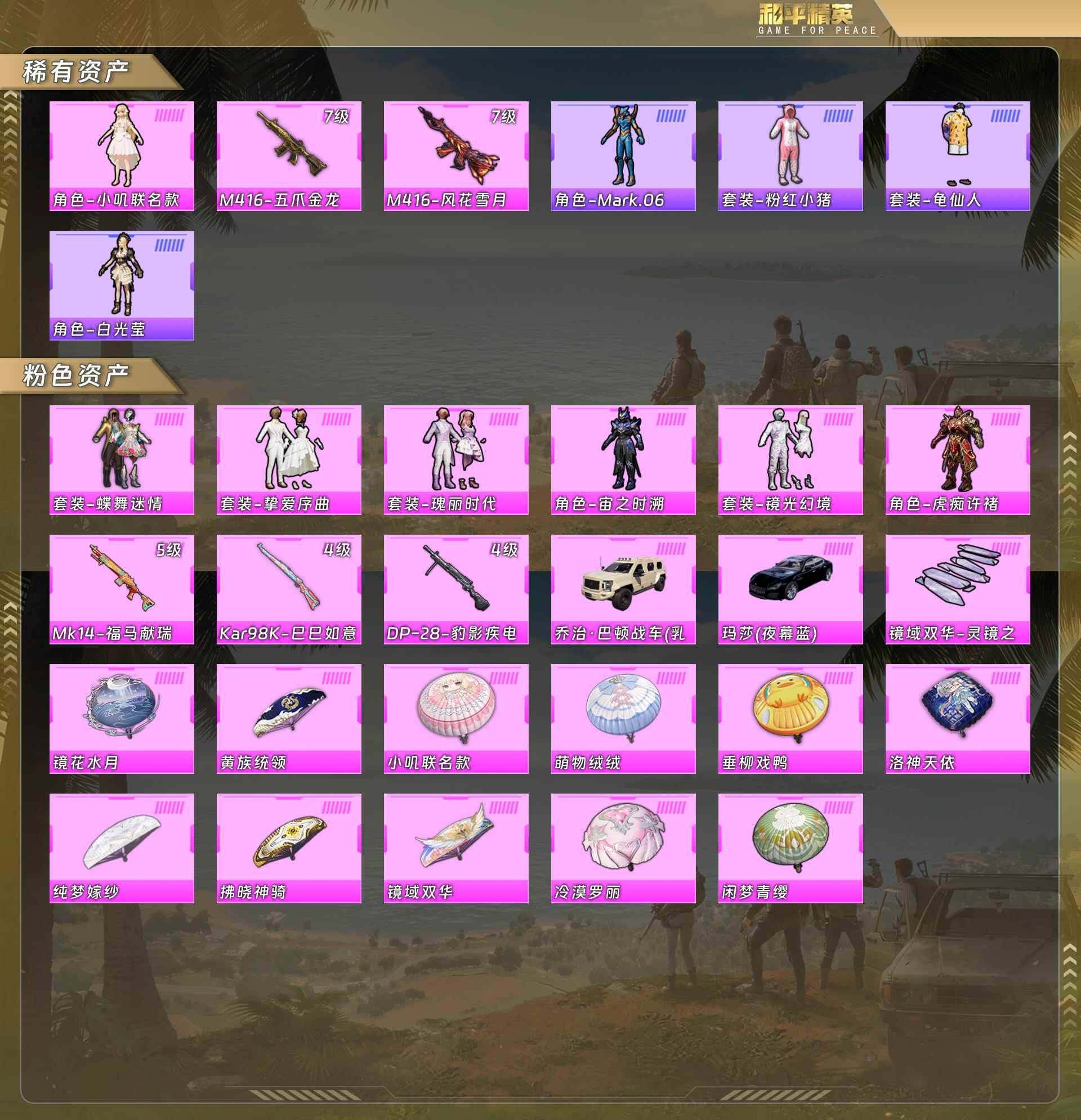 HPCMW4116810和平精英账号详情图5