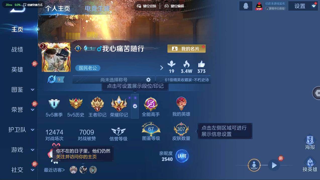 WZCMW4190189王者荣耀账号详情图9