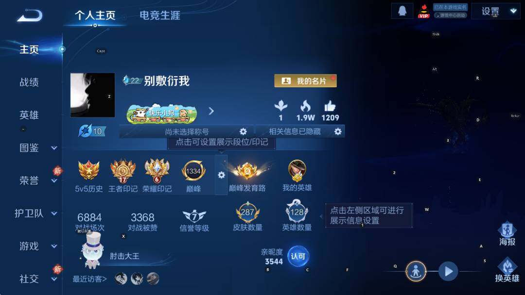 WZCMW4193051王者荣耀账号详情图12