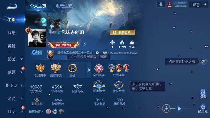 WZCMW4194572王者荣耀账号详情图7