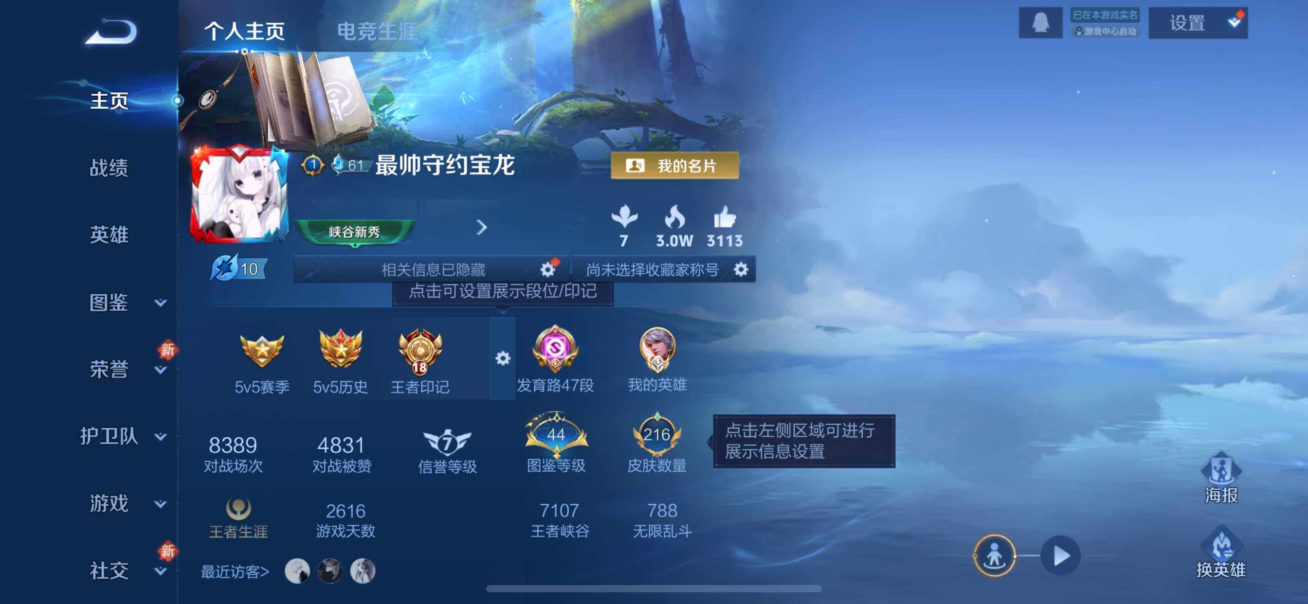 WZQM4198246王者荣耀账号详情图5