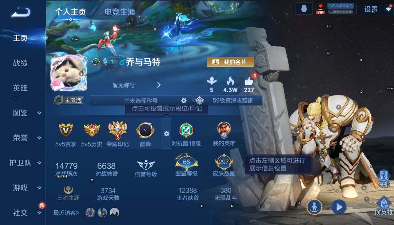 WZCMW4199896王者荣耀账号详情图10