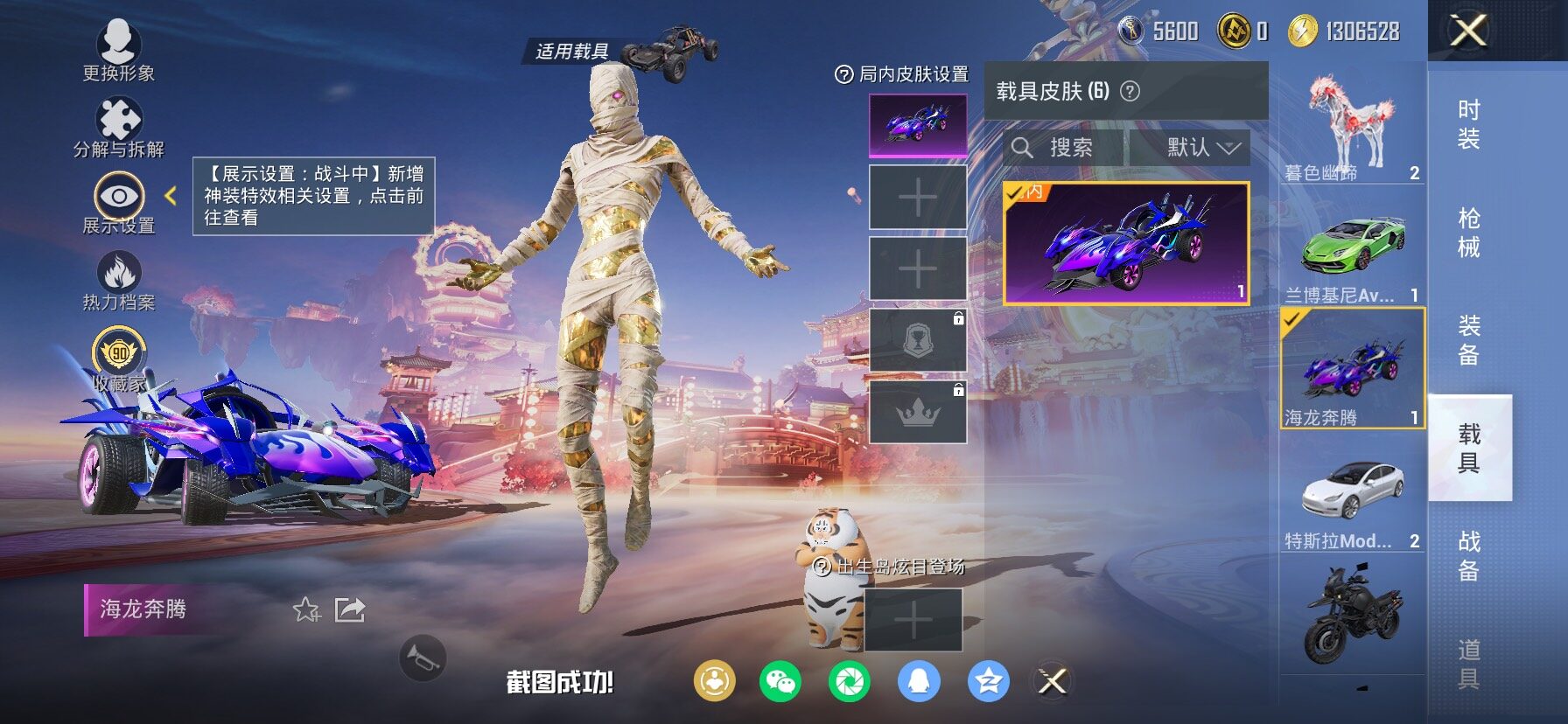 HPCMW4110355和平精英账号详情图13