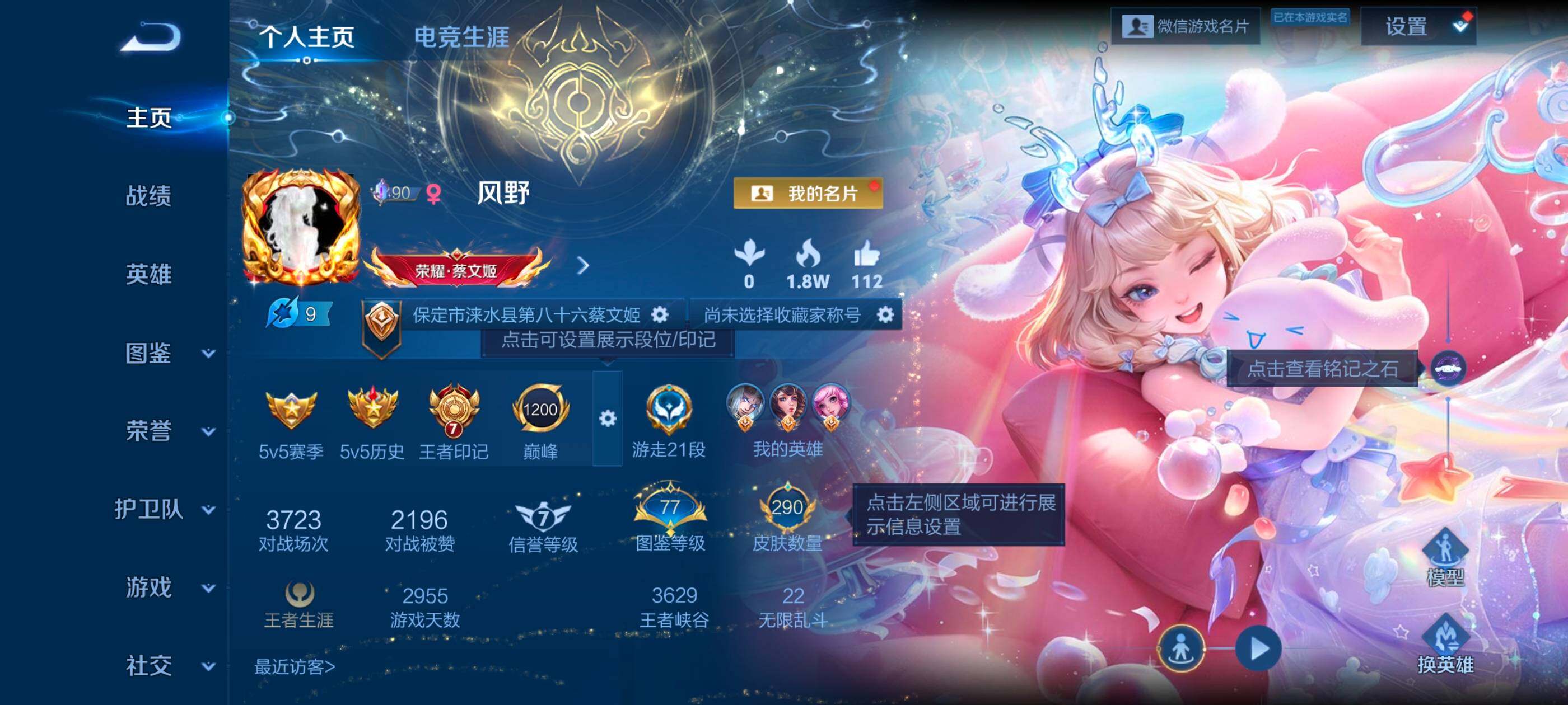 WZQM4208531王者荣耀账号详情图8