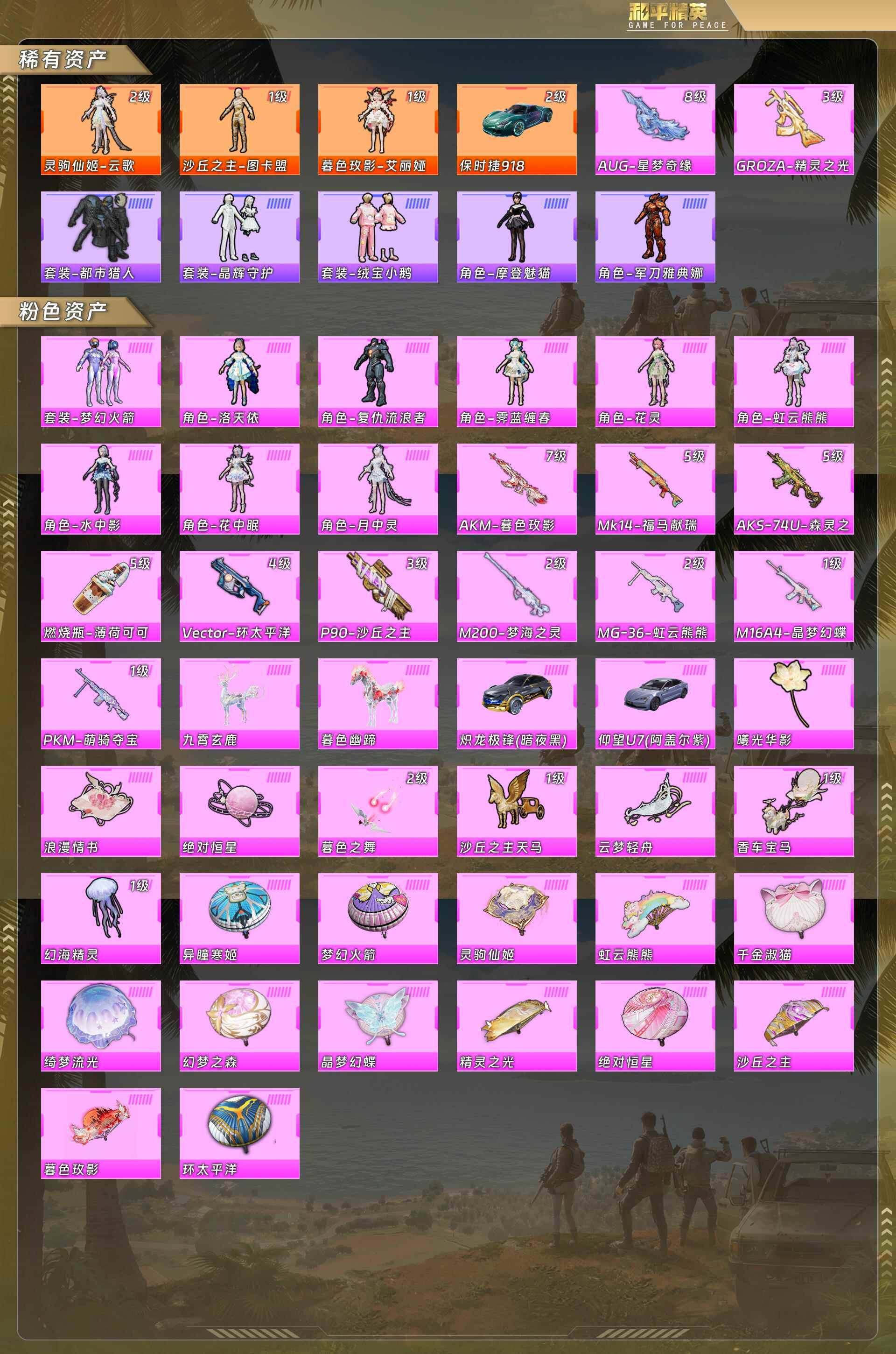 HPCMW4129089和平精英账号详情图5