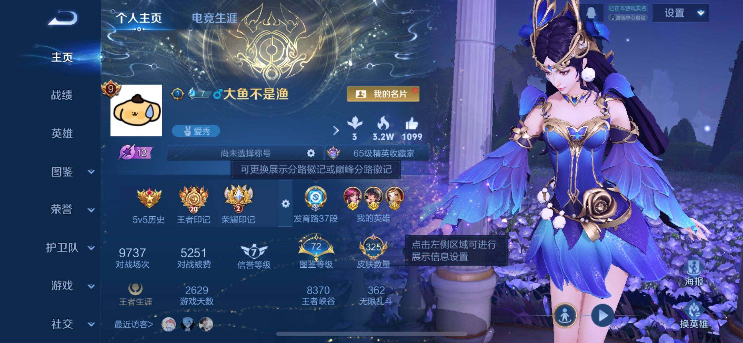 WZQM4207153王者荣耀账号详情图3