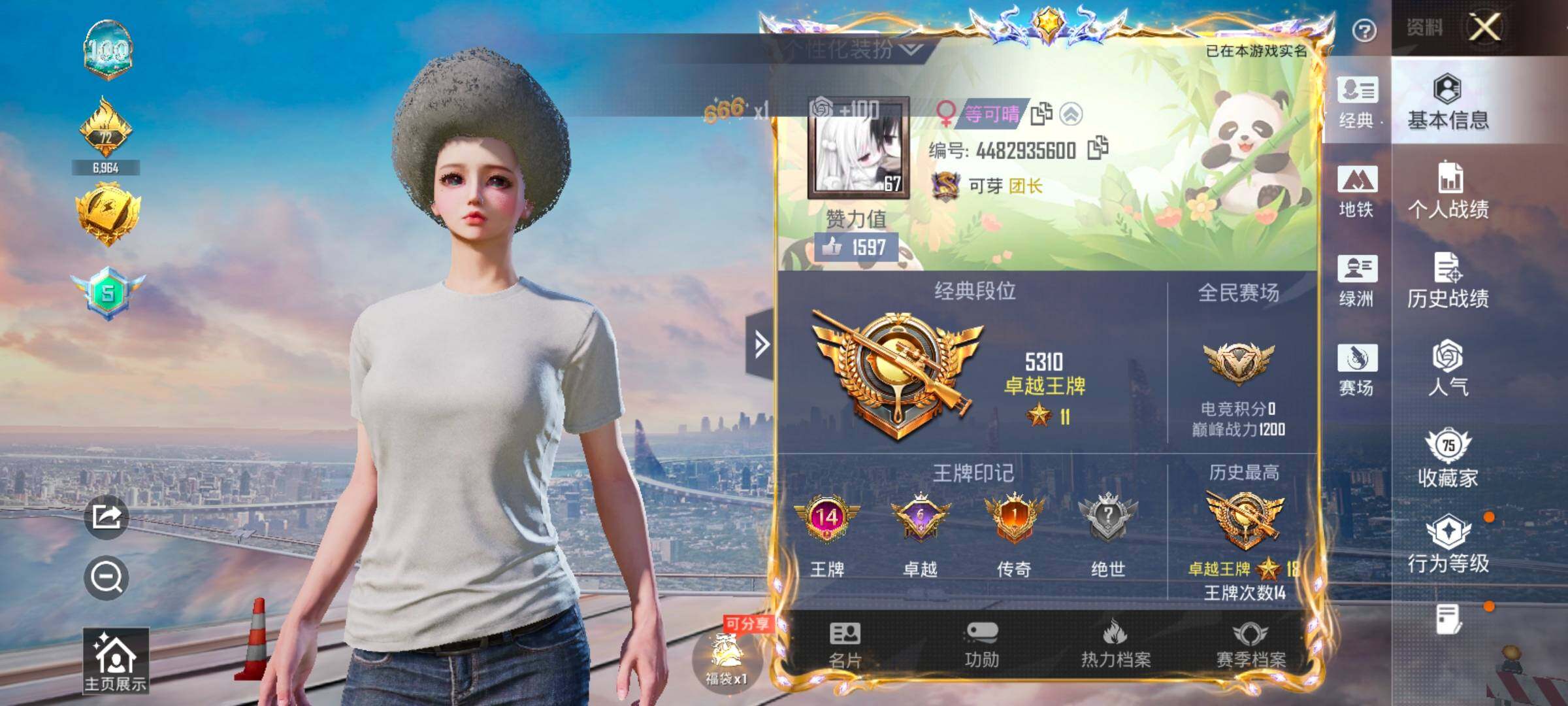 HPCMW4113656和平精英账号详情图2