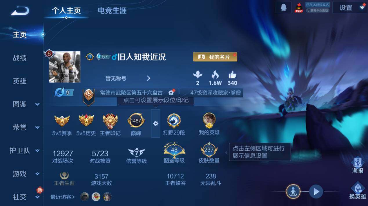 WZCMW4213910王者荣耀账号详情图9