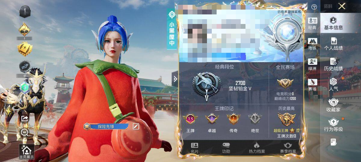 HPQM4111064和平精英账号详情图8