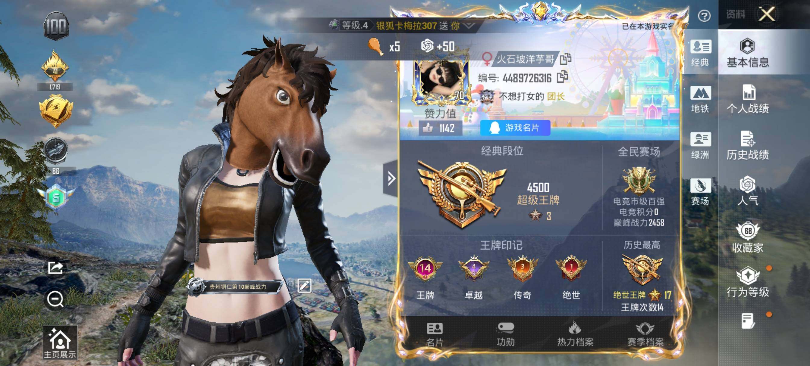 HPLE4114363和平精英账号详情图7