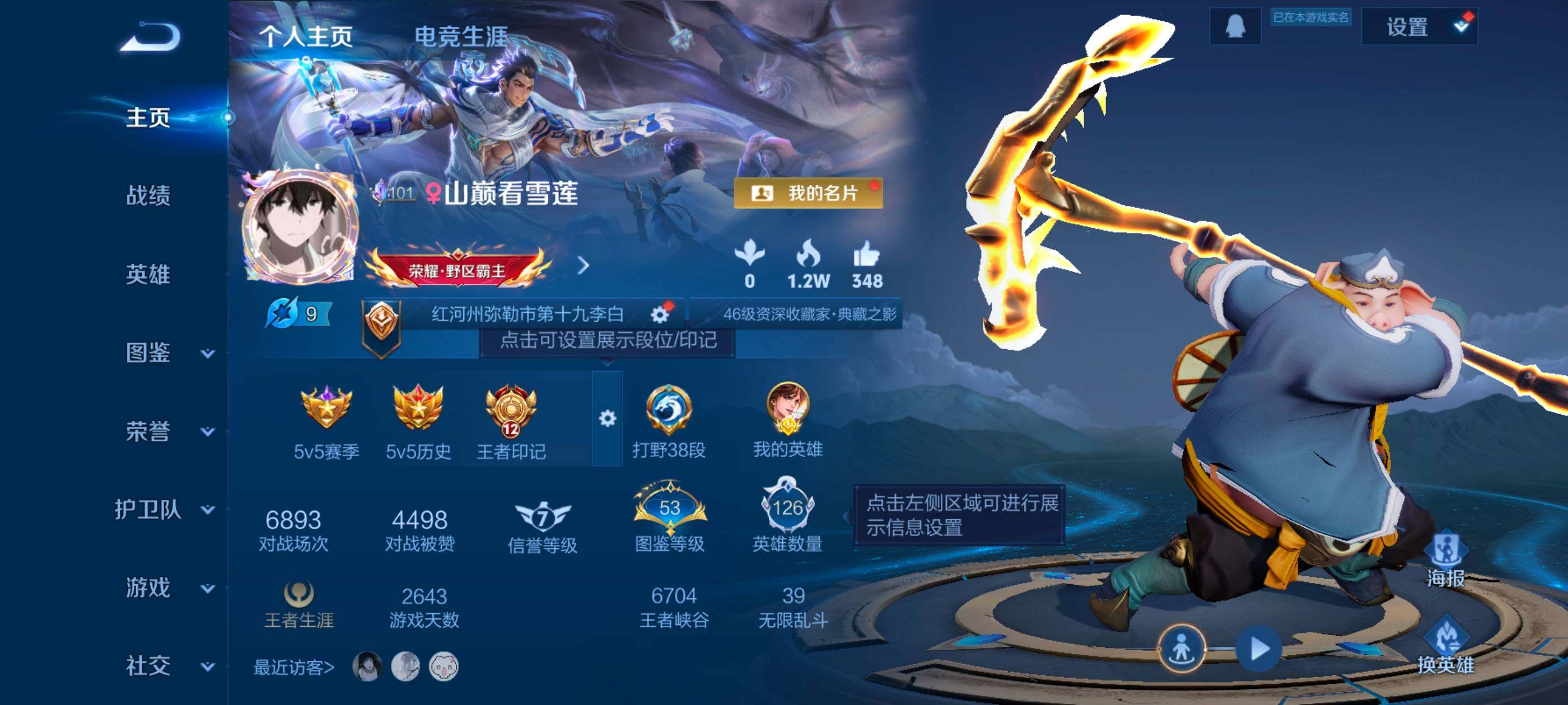 WZDN4203598王者荣耀账号详情图3