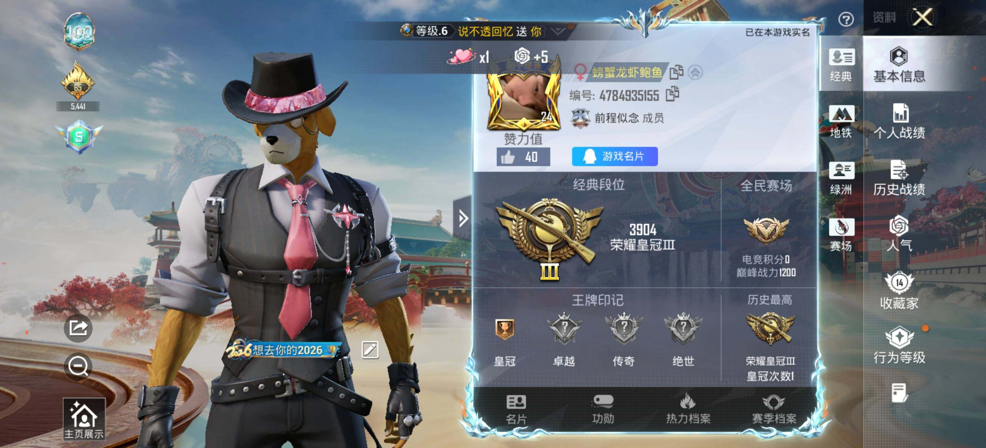 HPLX4115873和平精英账号详情图4