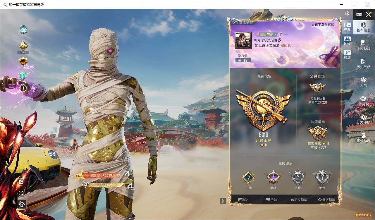 HPLE4112166和平精英账号详情图6 HPLE4112166和平精英账号详情图6