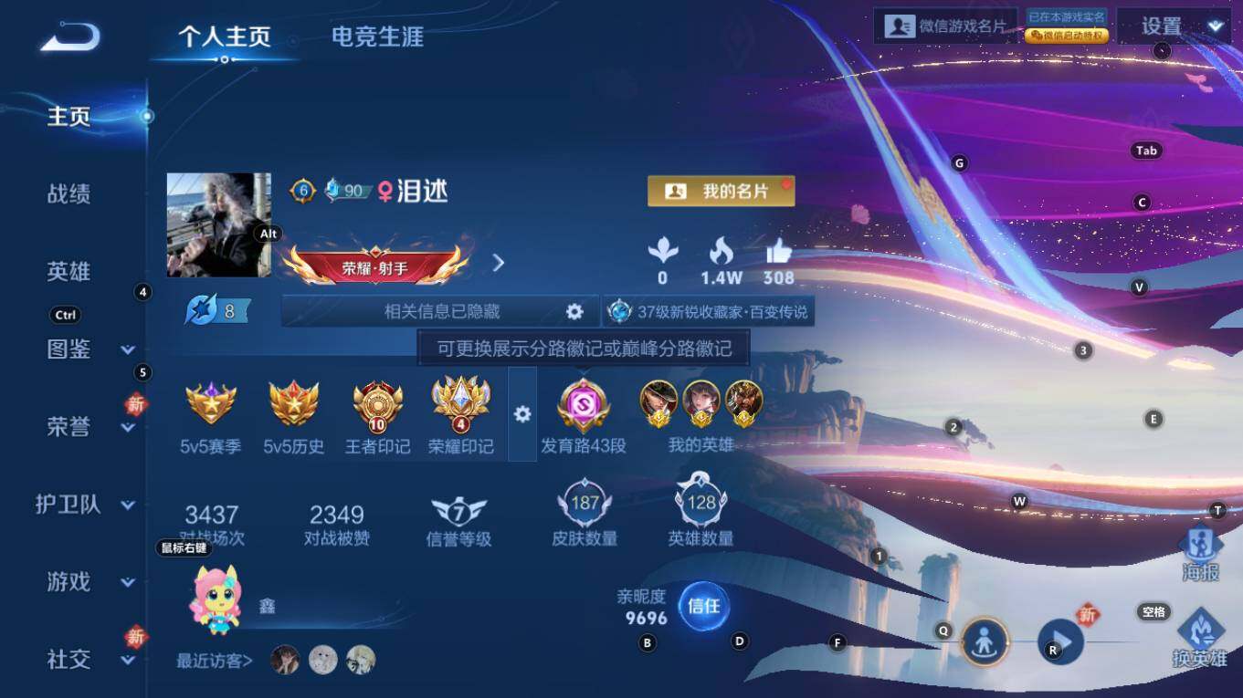 WZQM4211163王者荣耀账号详情图7