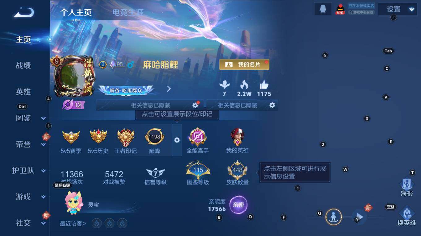 WZQM4211169王者荣耀账号详情图11