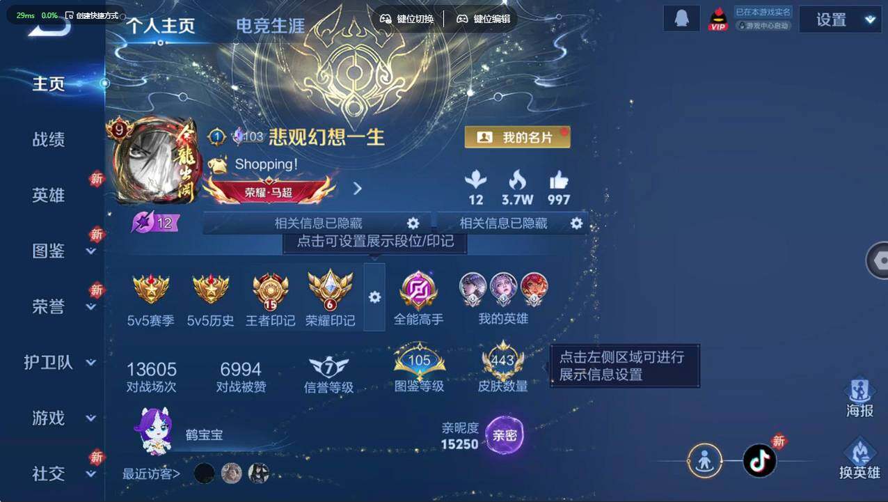 WZCMW4217654王者荣耀账号详情图11