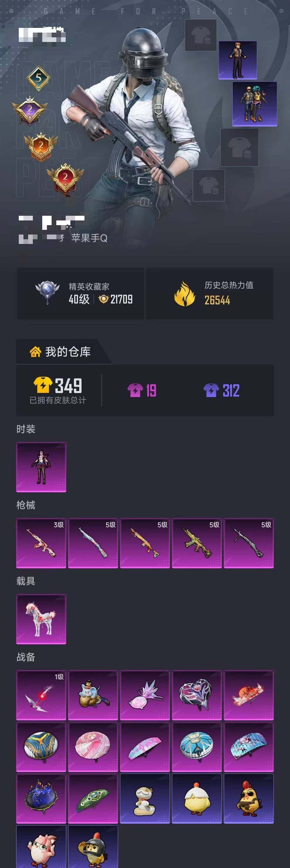 HPQM4116010和平精英账号详情图5