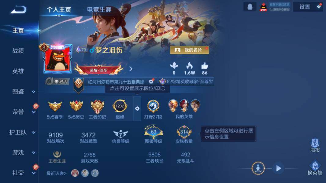 WZQM4211176王者荣耀账号详情图9