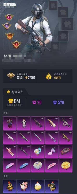 HPQM4116014和平精英账号详情图5