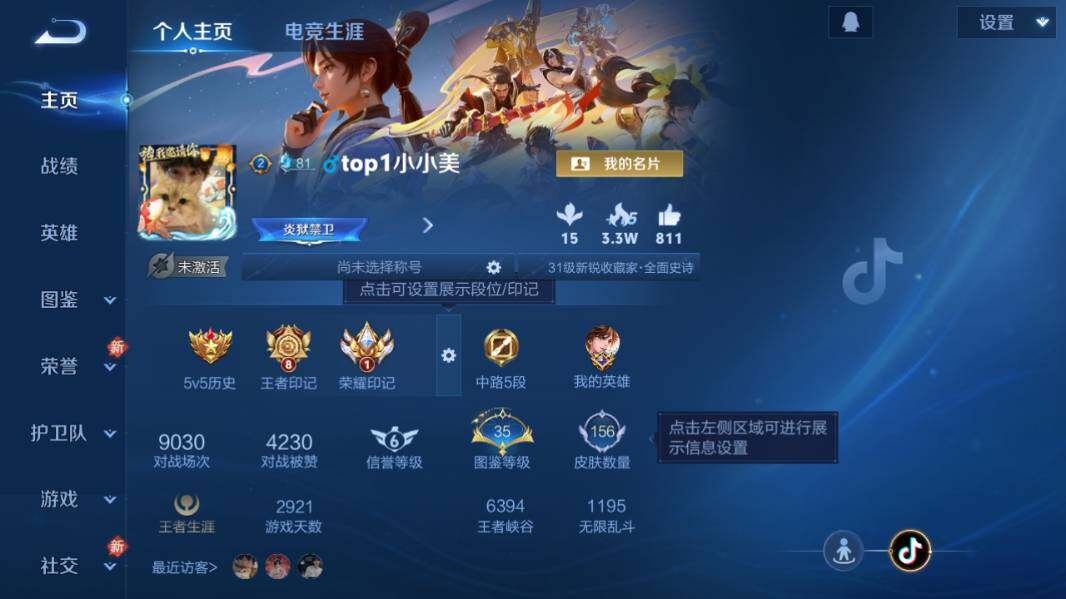 WZQM4211203王者荣耀账号详情图7