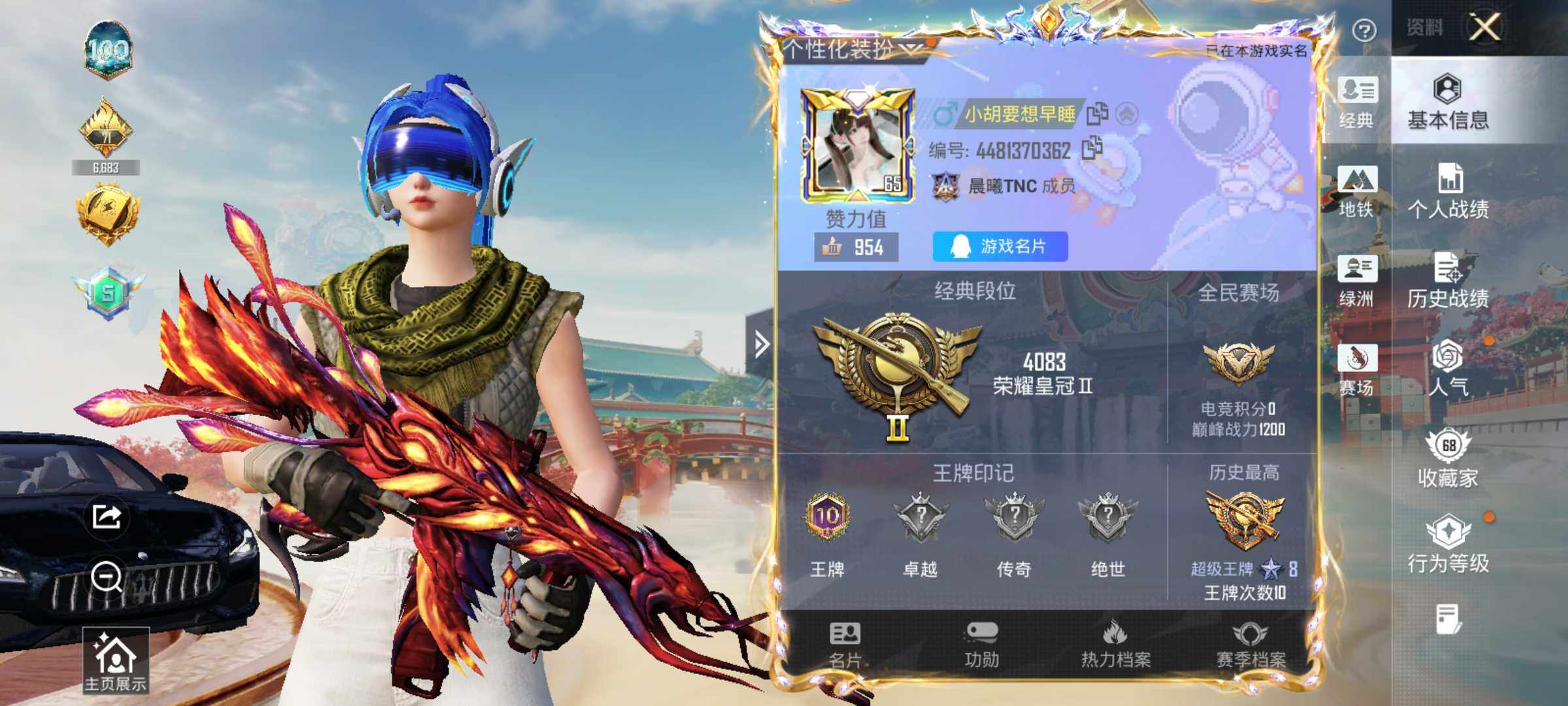 HPLX4116409和平精英账号详情图6