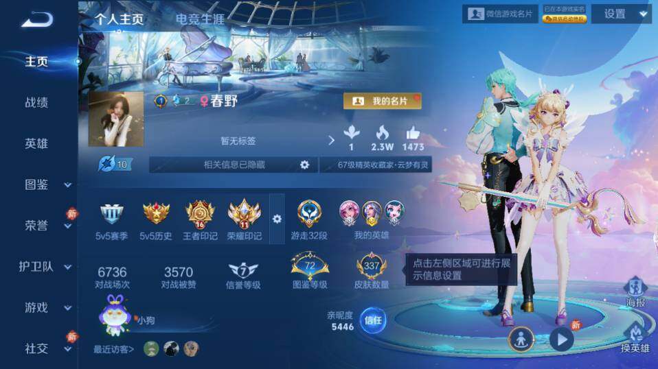 WZLE4210990王者荣耀账号详情图8