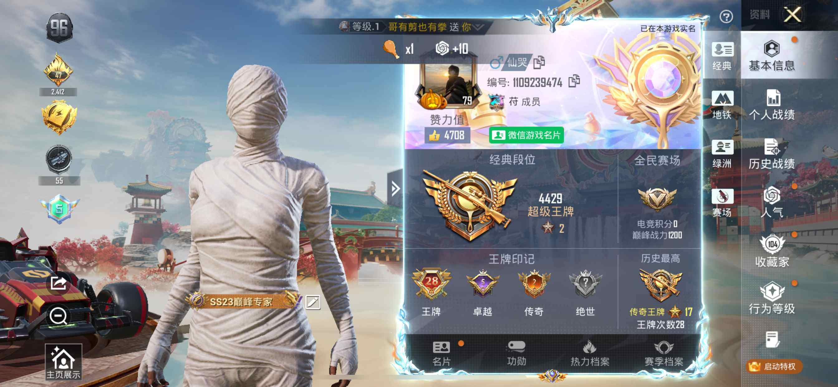 HPDN4116157和平精英账号详情图11