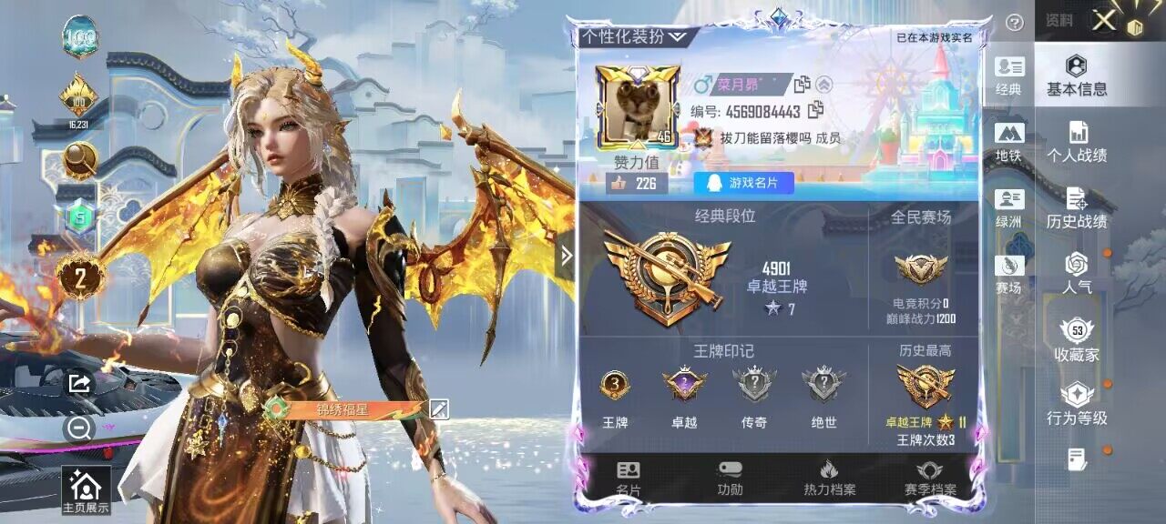 HPQM4129045和平精英账号详情图5