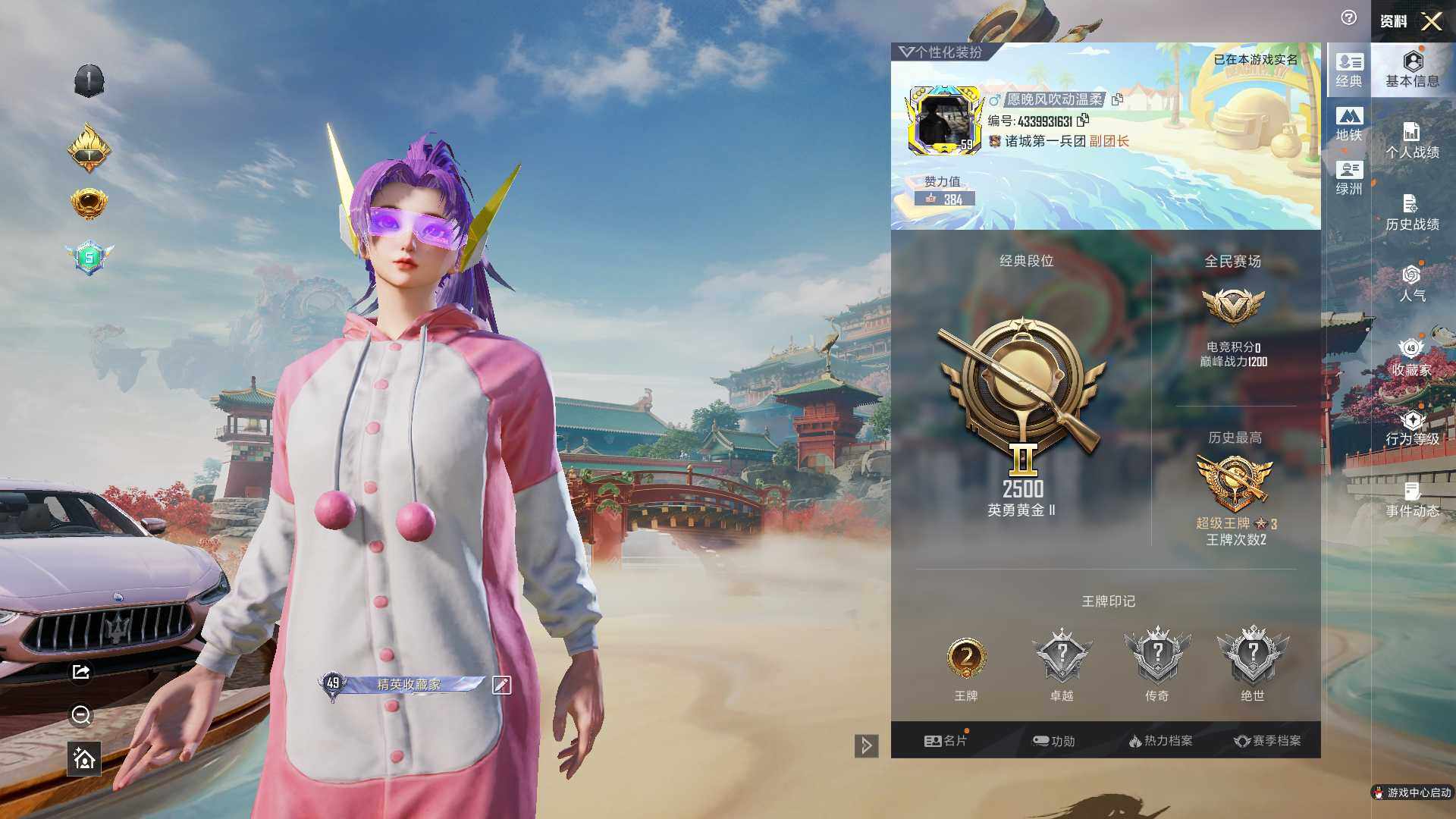 HPLE4117250和平精英账号详情图6