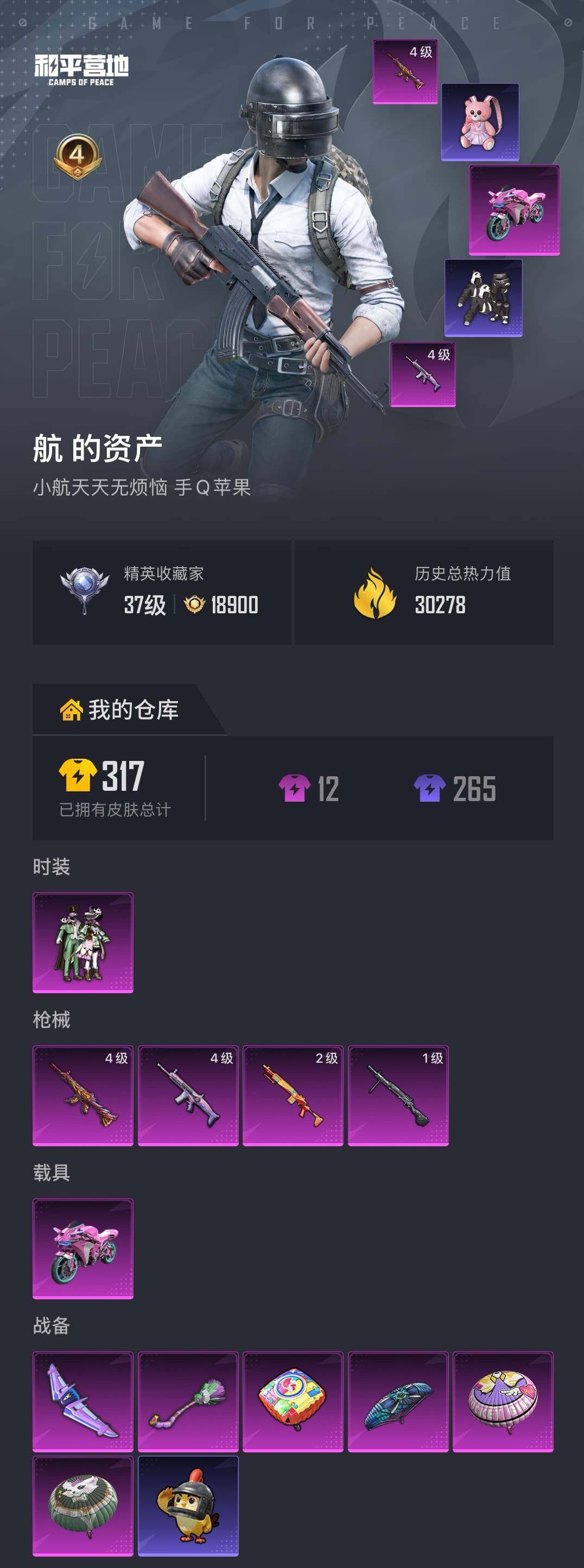 HPQM4116389和平精英账号详情图5