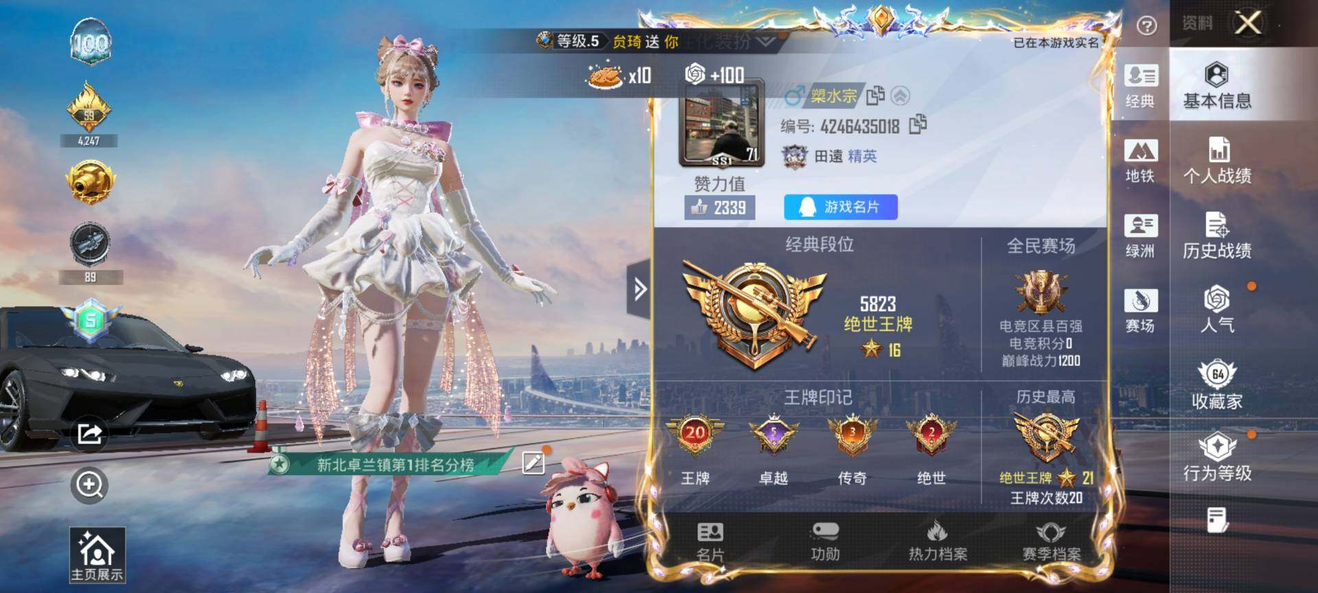 HPQM4116441和平精英账号详情图3