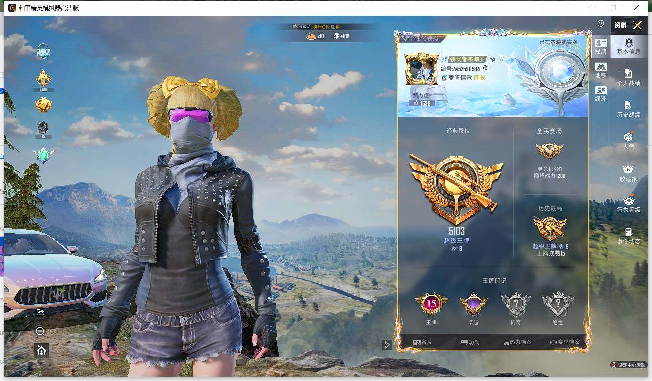 HPLE4116755和平精英账号详情图8