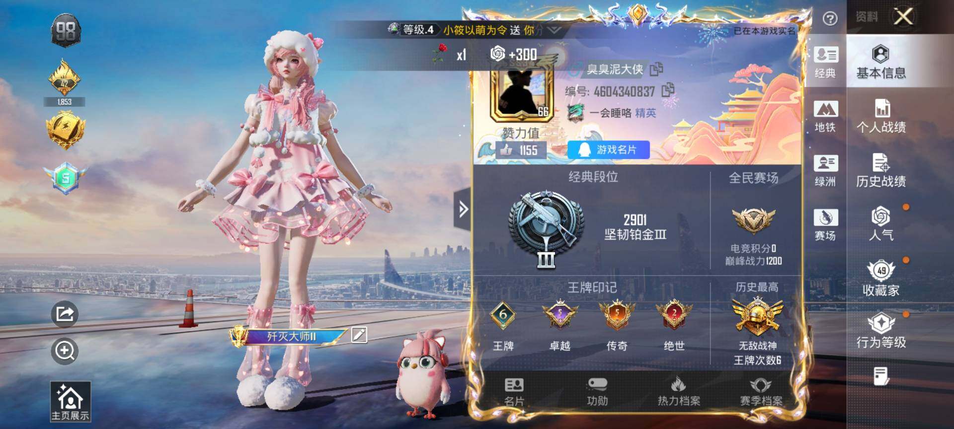 HPQM4116621和平精英账号详情图3