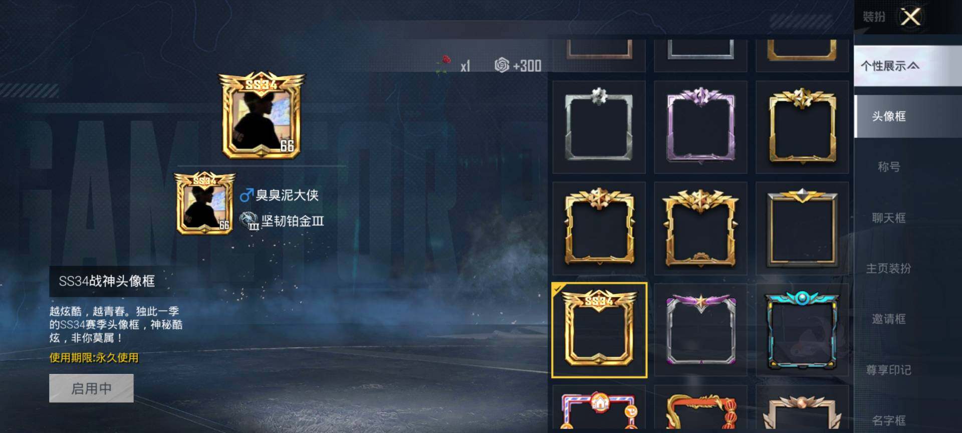 HPQM4116621和平精英账号详情图4