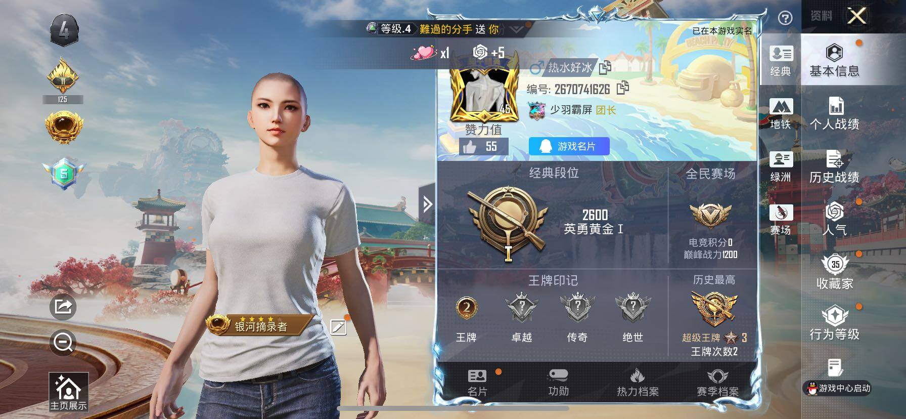 HPLE4117633和平精英账号详情图5