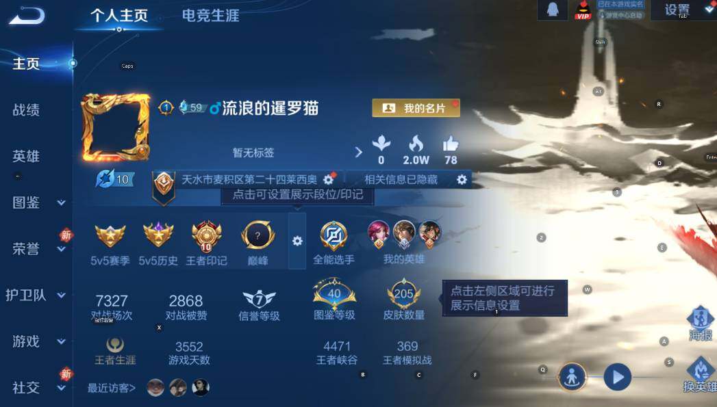 WZCMW4224209王者荣耀账号详情图11