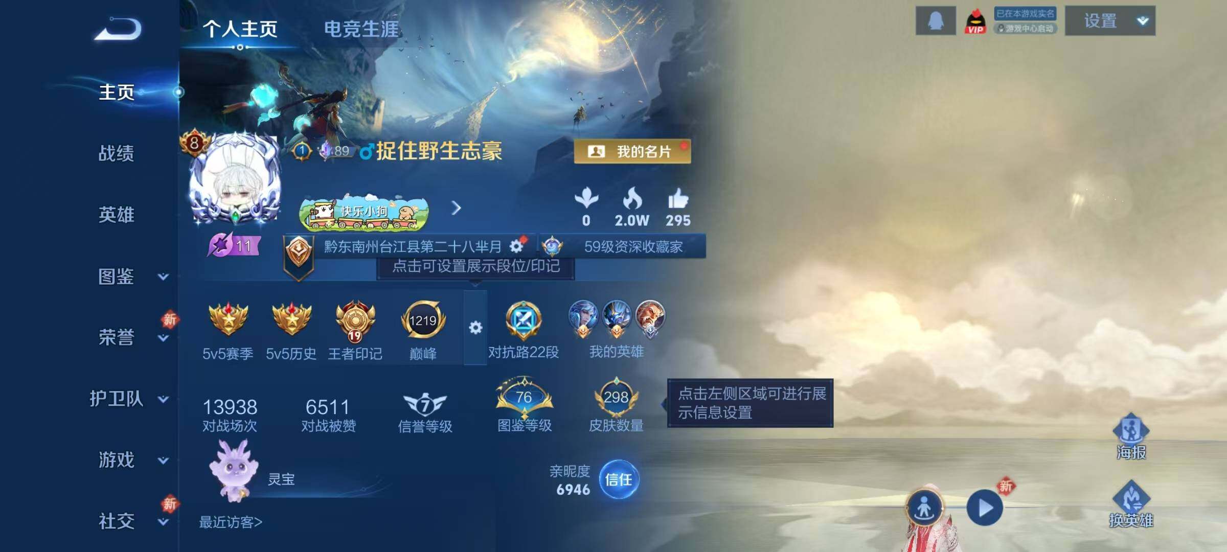 WZQM4228874王者荣耀账号详情图8