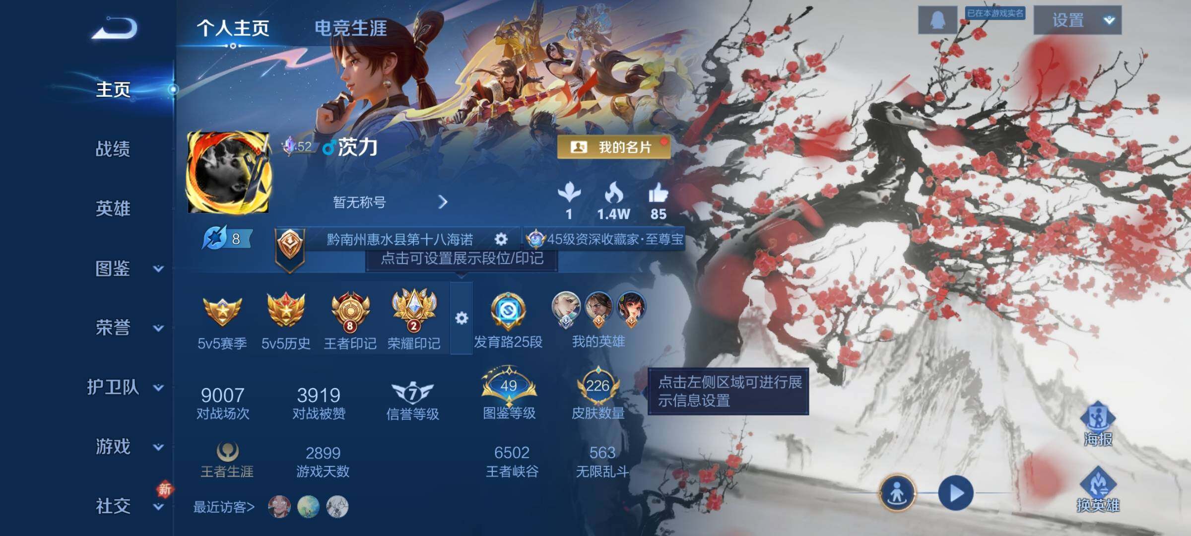 WZDN4217272王者荣耀账号详情图3