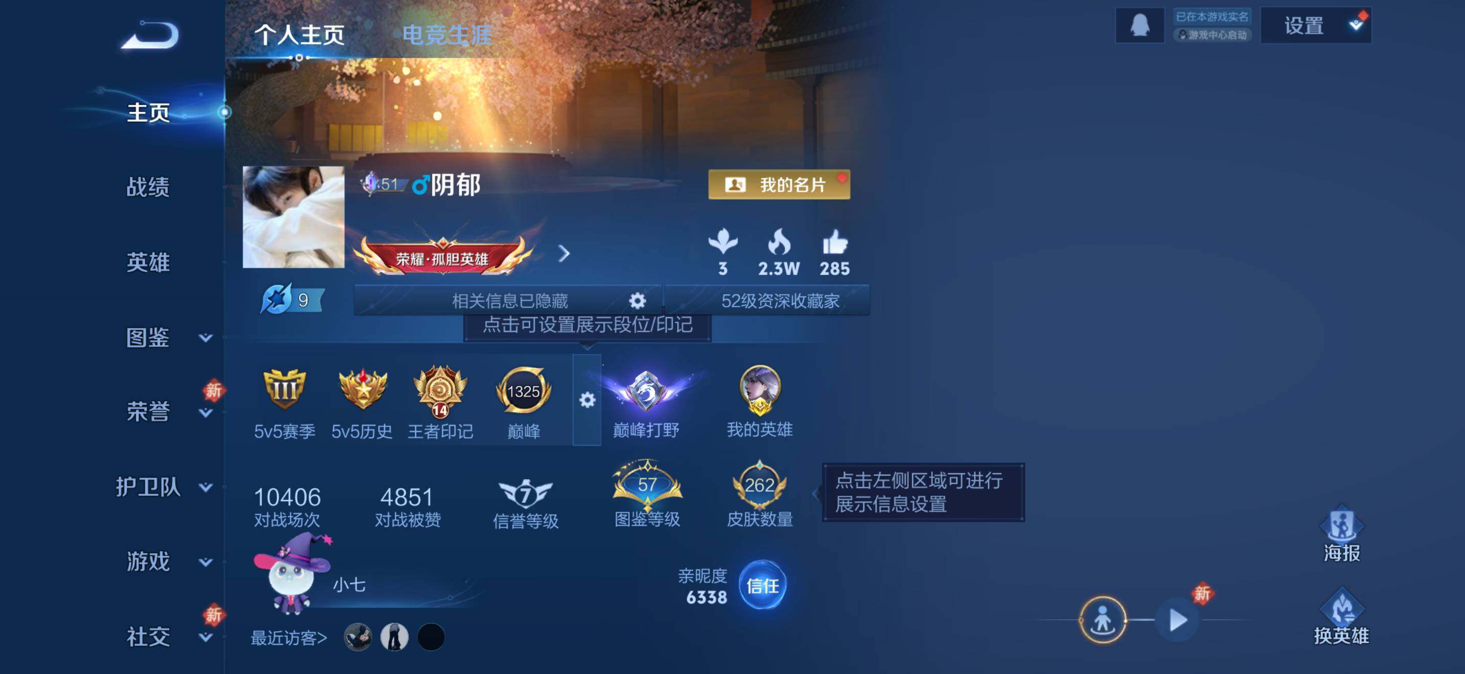 WZDN4217355王者荣耀账号详情图3