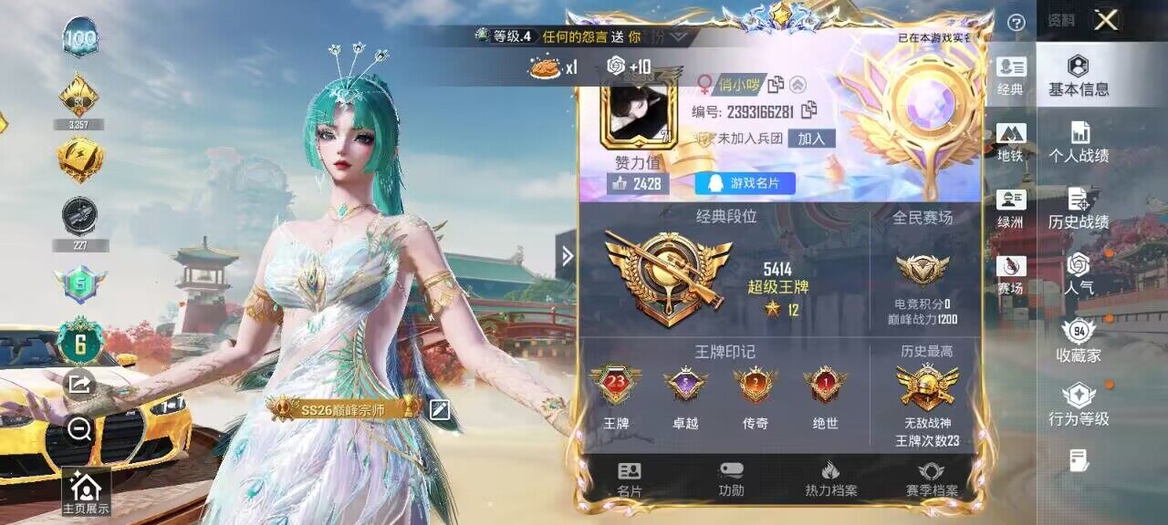 HPCMW4141183和平精英账号详情图2