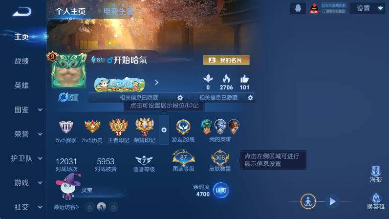 WZLX4225505王者荣耀账号详情图9