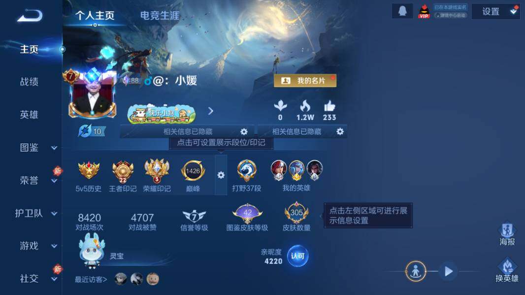 WZQM4223924王者荣耀账号详情图9 WZQM4223924王者荣耀账号详情图9