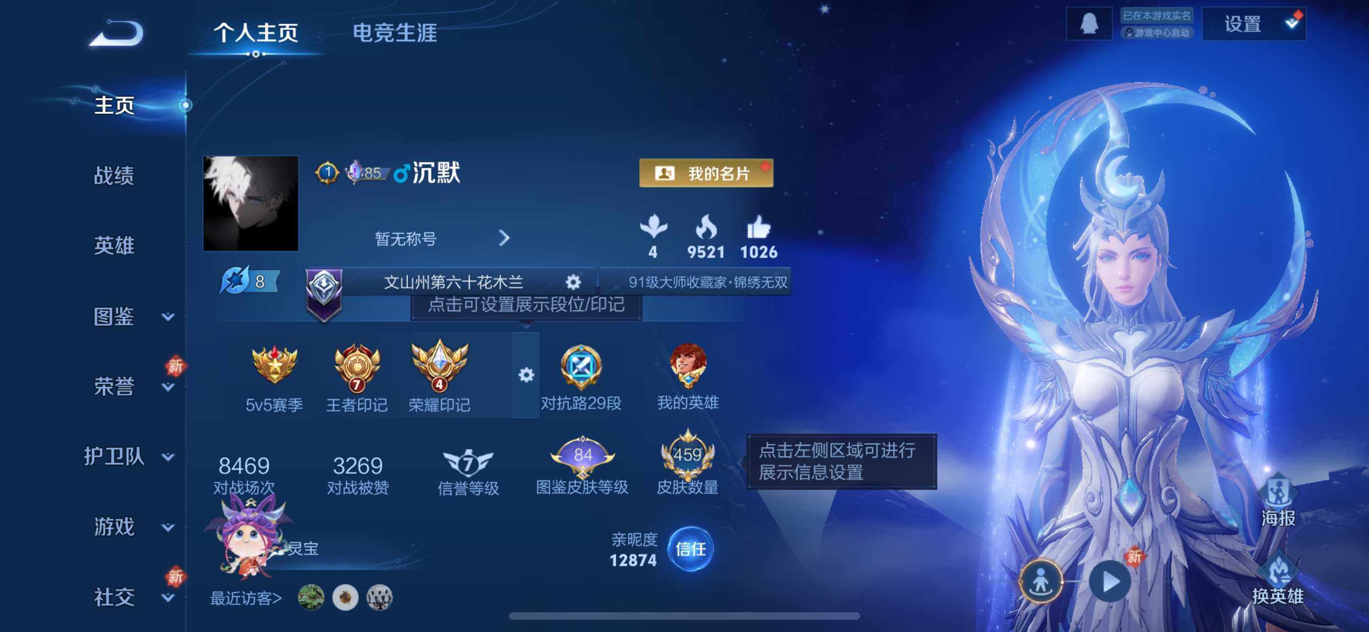 WZDN4218045王者荣耀账号详情图3