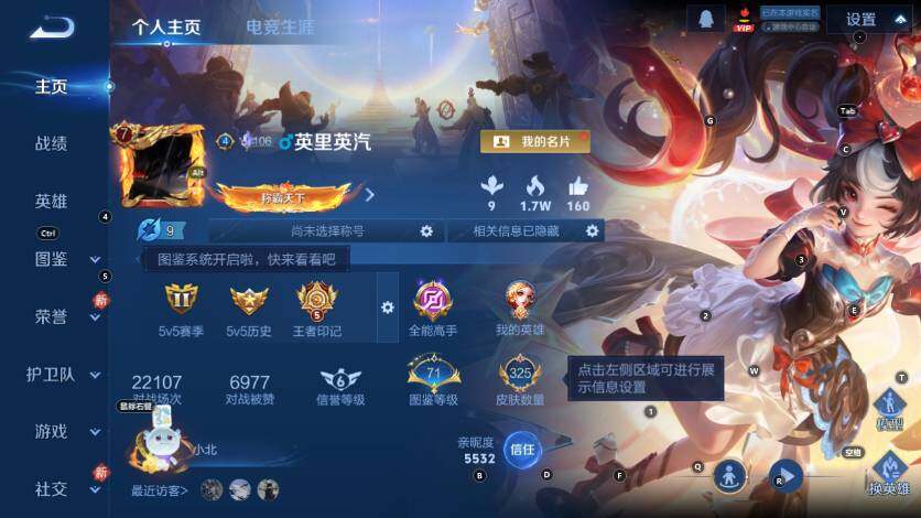 WZLX4220660王者荣耀账号详情图9