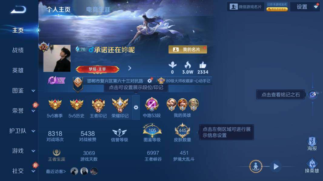 WZQM4223921王者荣耀账号详情图12 WZQM4223921王者荣耀账号详情图12