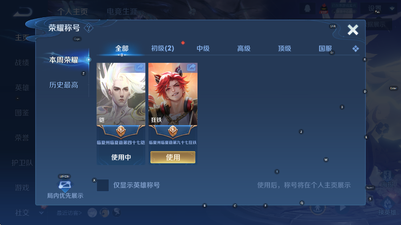 WZLX4227019王者荣耀账号详情图9