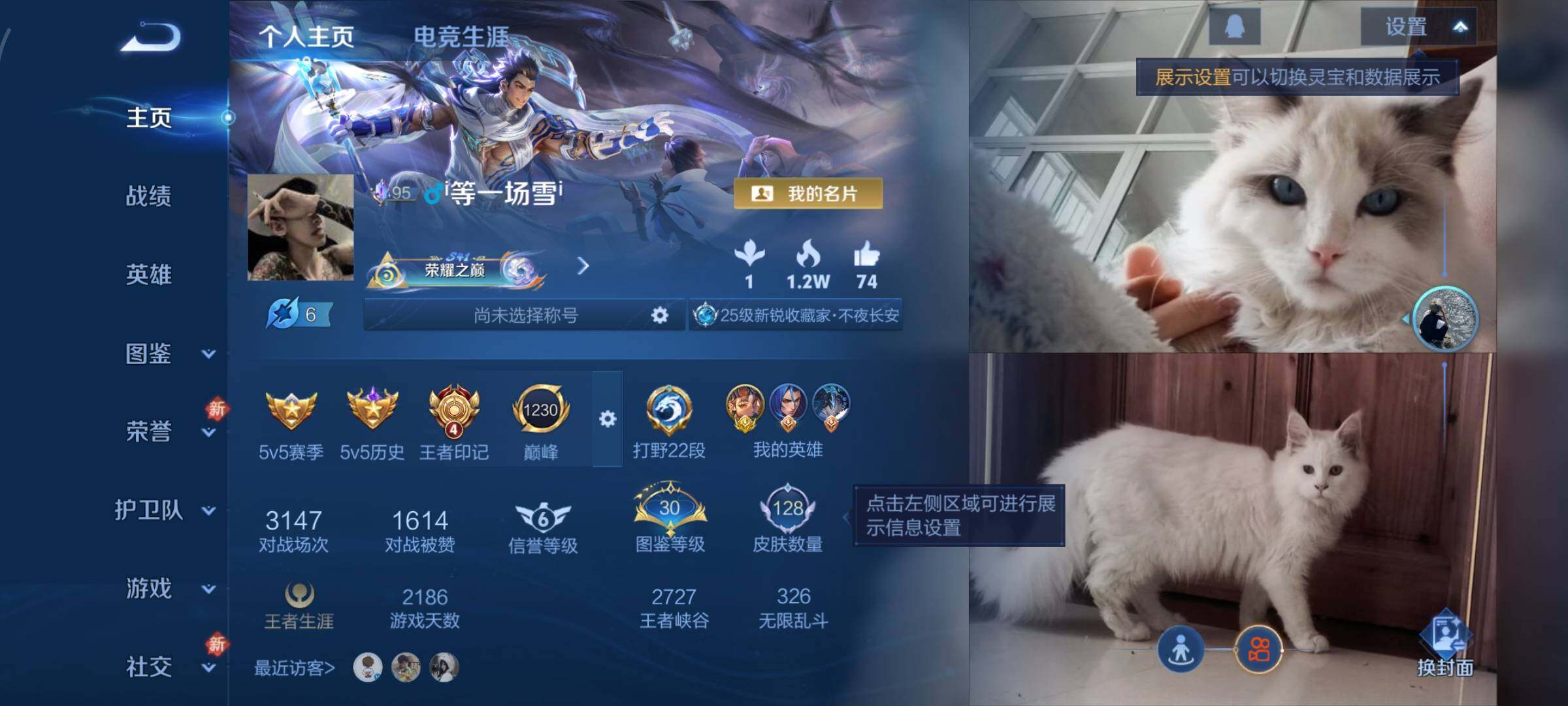 WZLX4228113王者荣耀账号详情图2