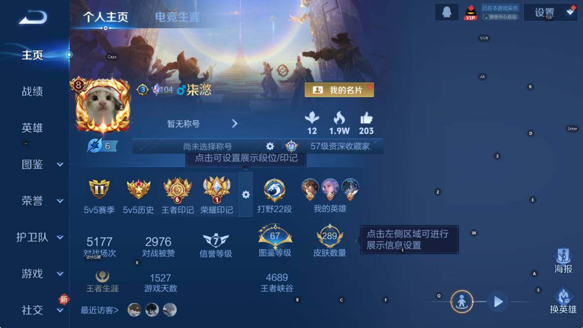 WZLX4228508王者荣耀账号详情图10